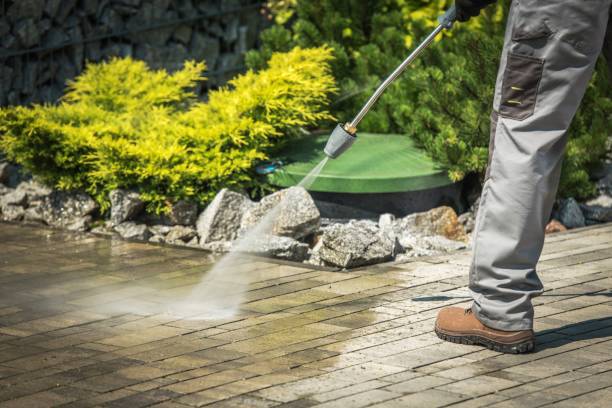 Best Roof Washing  in Elk Rapids, MI